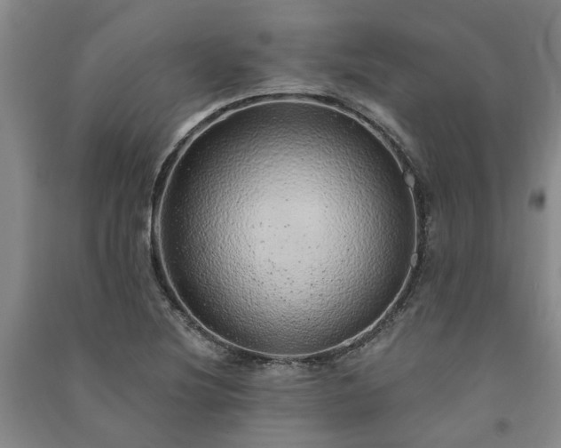 X0000091231220200708161710