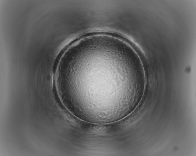 X0000091231221200708161710
