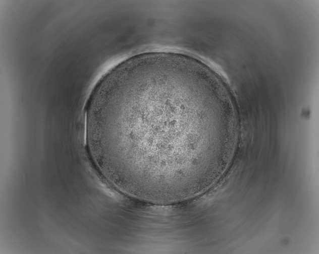 X0000091231223200708161710