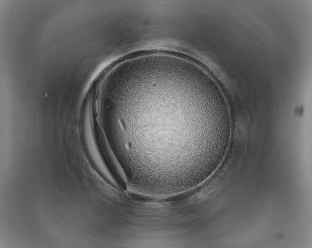 X0000091231224200708161710