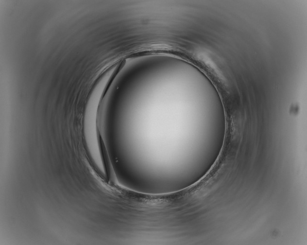 X0000091231225200708161710