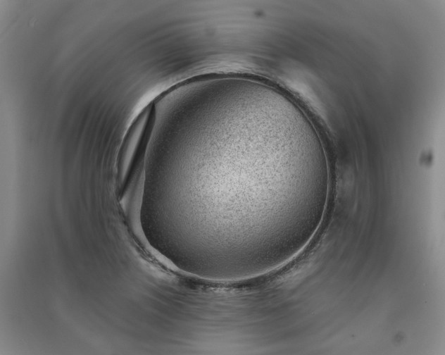 X0000091231226200708161710