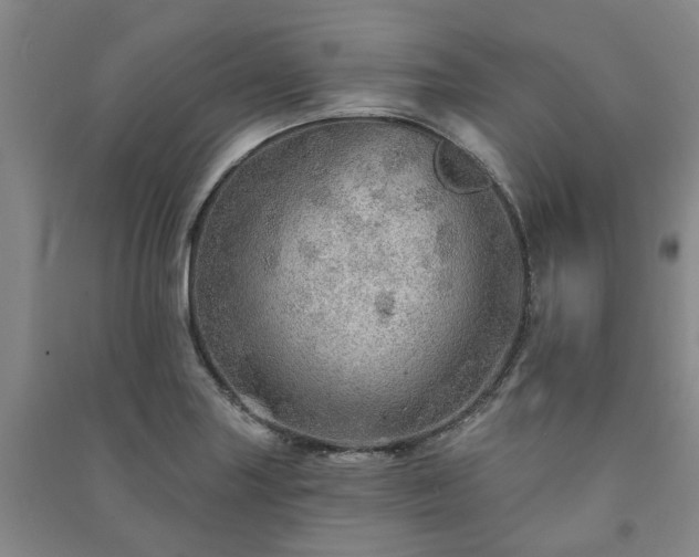 X0000091231227200708161710