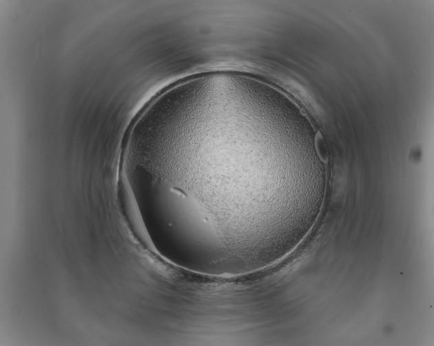 X0000091231228200708161710