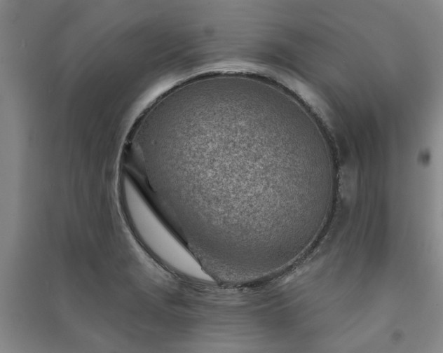 X0000091231229200708161710
