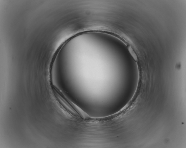 X0000091231230200708161710