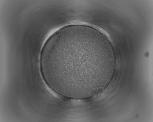 X0000091231231200708161710