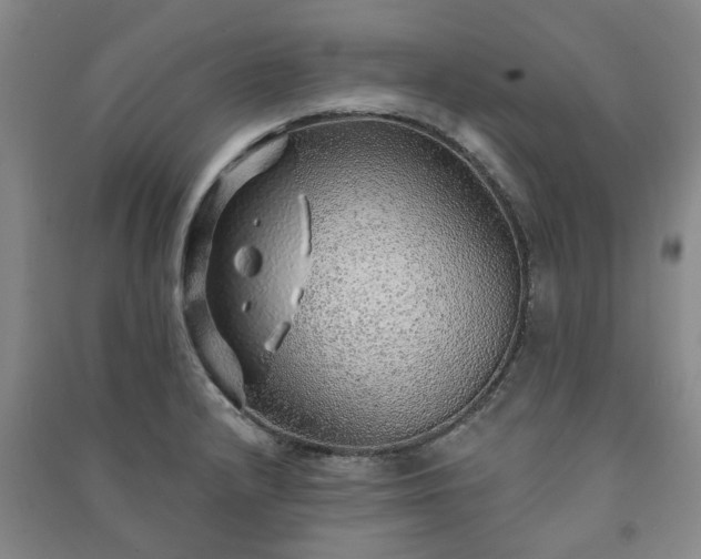 X0000091231232200708161710