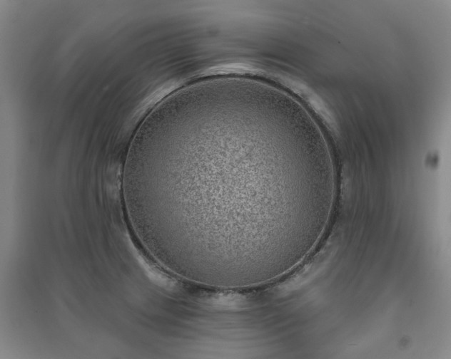 X0000091231233200708161710