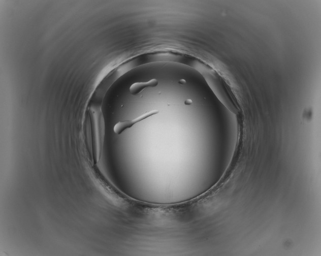 X0000091231234200708161710
