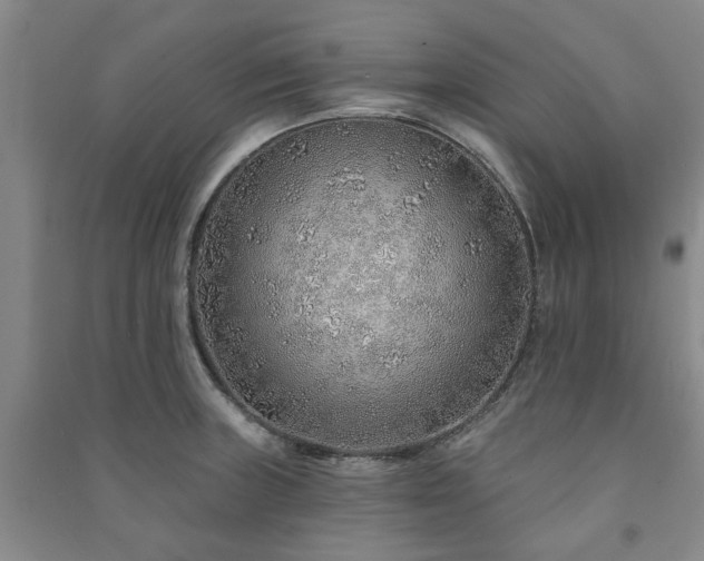 X0000091231235200708161710