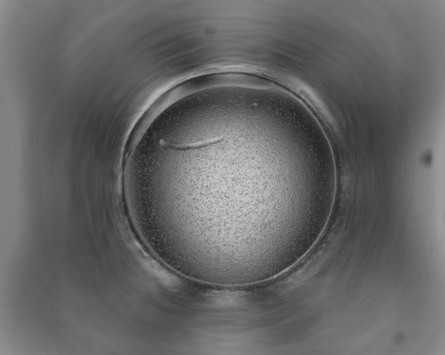 X0000091231236200708161710
