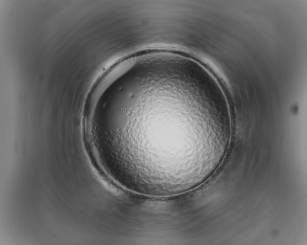 X0000091231237200708161710
