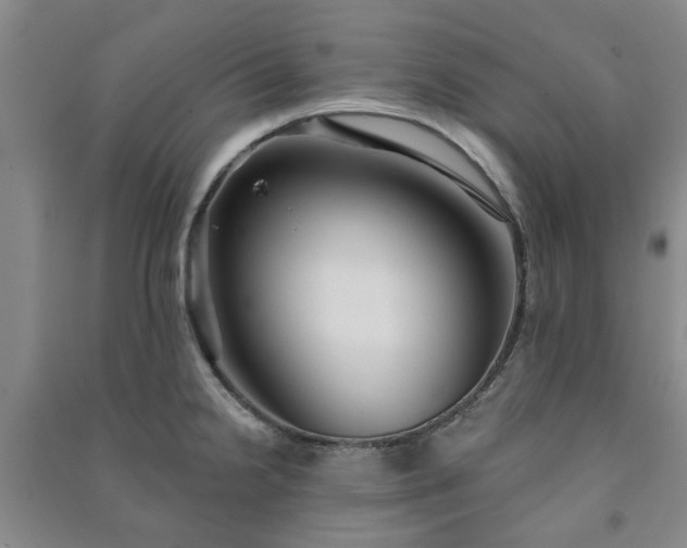 X0000091231238200708161710
