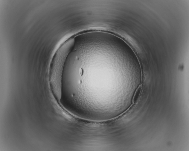 X0000091231240200708161710