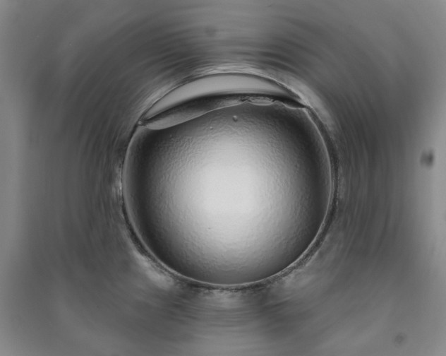 X0000091231241200708161710