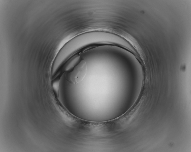 X0000091231242200708161710