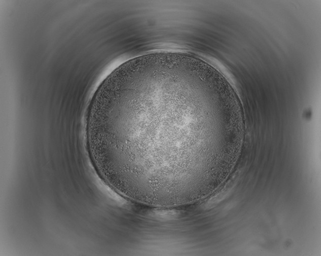 X0000091231243200708161710