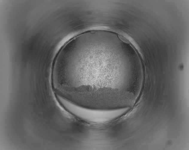 X0000091231245200708161710