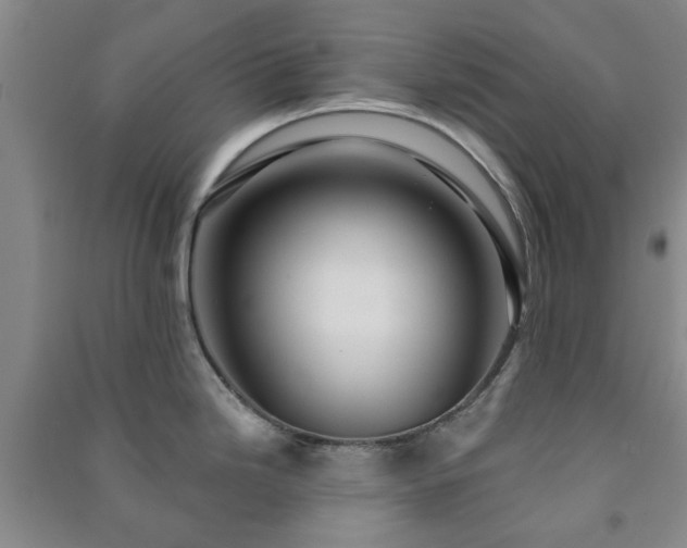 X0000091231246200708161710