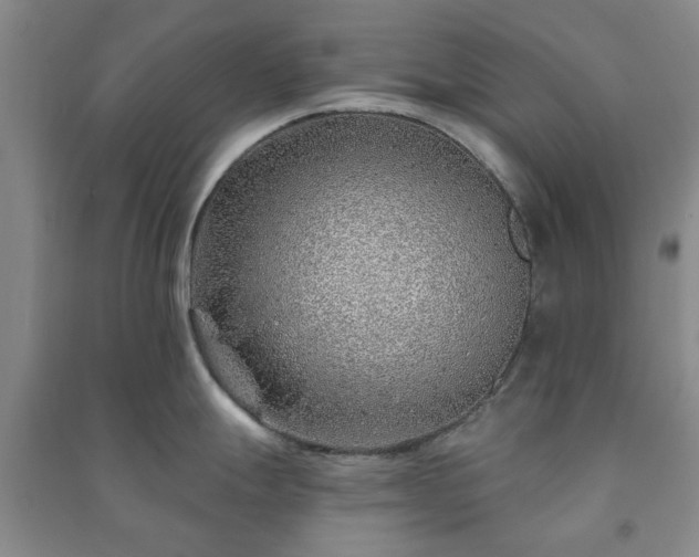 X0000091231247200708161710