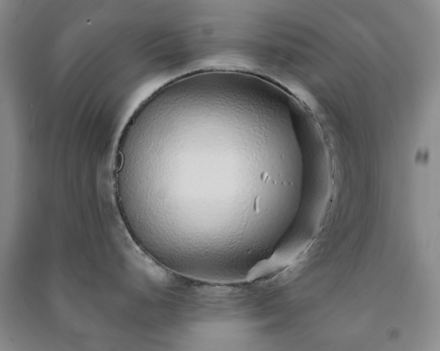 X0000091231248200708161710
