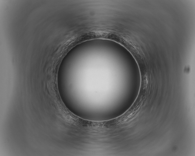 X0000091231249200708161710