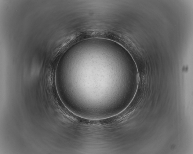 X0000091231250200708161710
