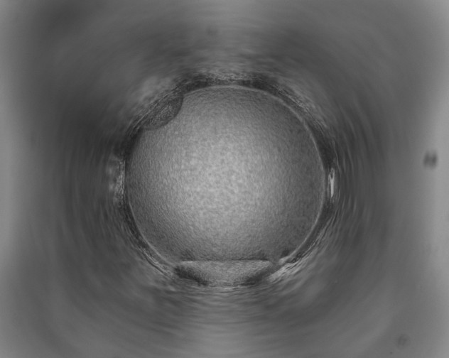 X0000091231251200708161710