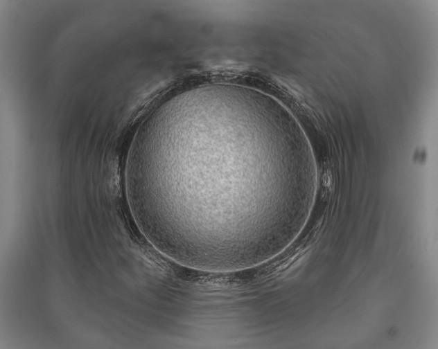 X0000091231252200708161710