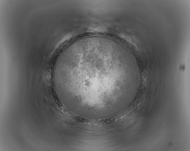 X0000091231254200708161710