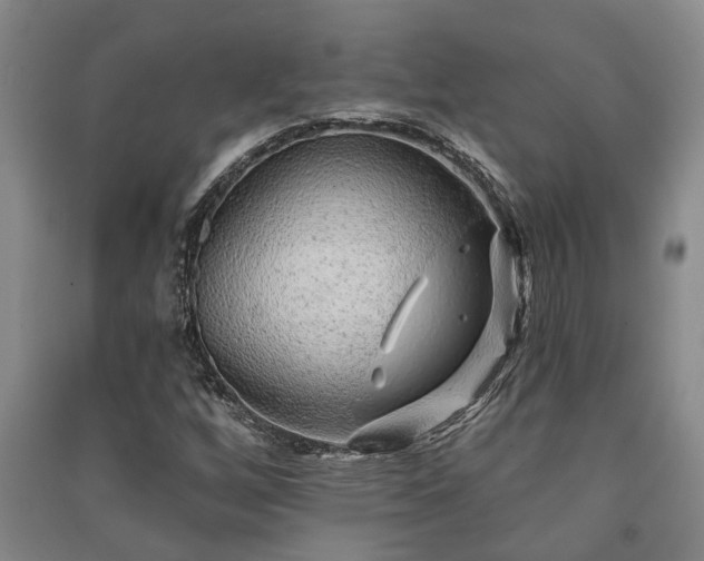 X0000091231256200708161709