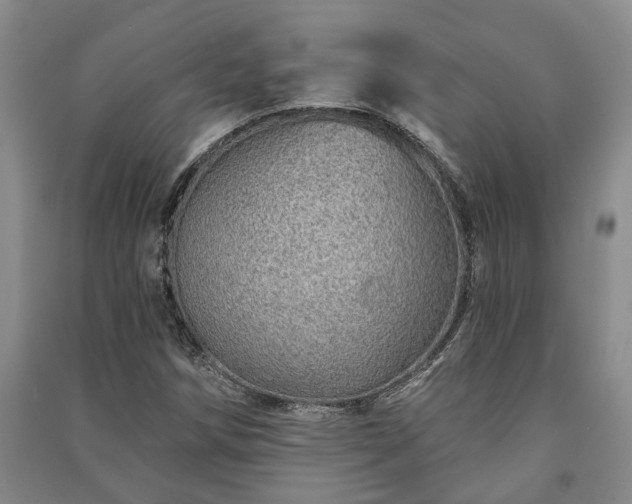 X0000091231258200708161709