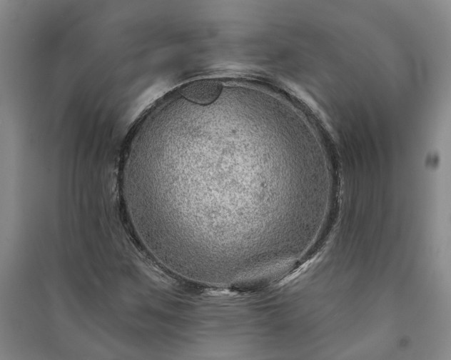 X0000091231259200708161709