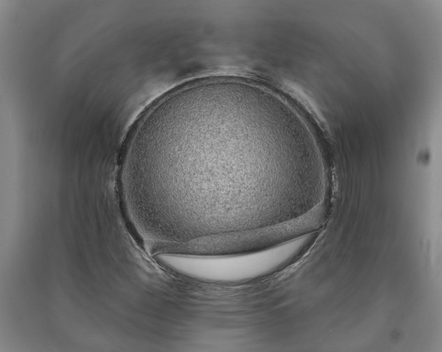 X0000091231260200708161709