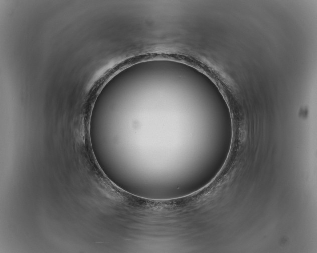 X0000091231262200708161709