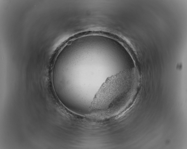 X0000091231263200708161709