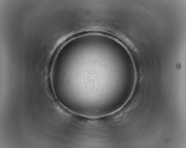X0000091231264200708161709