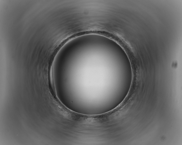 X0000091231265200708161709