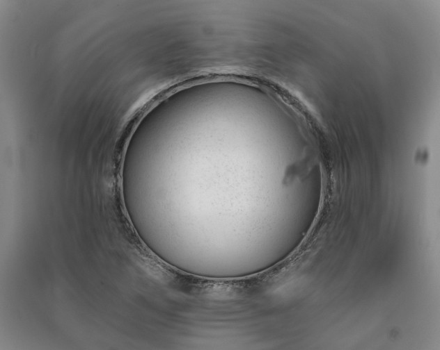 X0000091231266200708161709