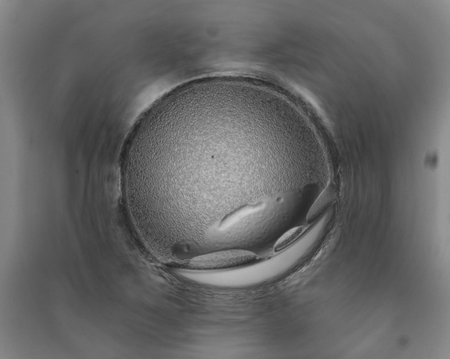 X0000091231267200708161709