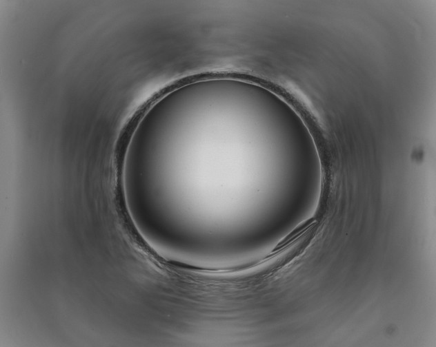 X0000091231270200708161709