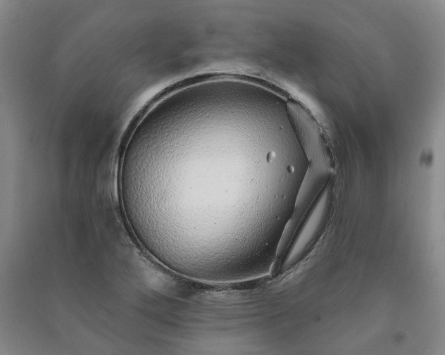 X0000091231272200708161709
