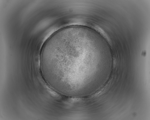 X0000091231274200708161709