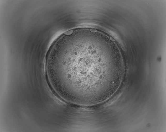 X0000091231275200708161709