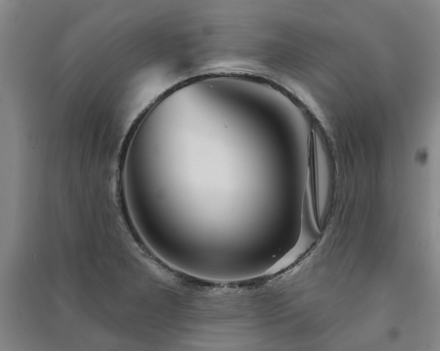 X0000091231277200708161709