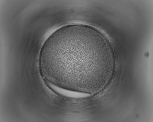 X0000091231279200708161709