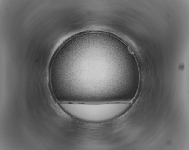 X0000091231280200708161709