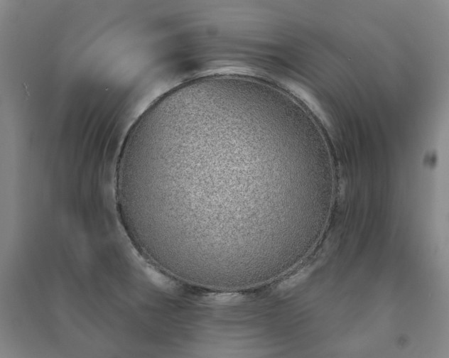 X0000091231282200708161709
