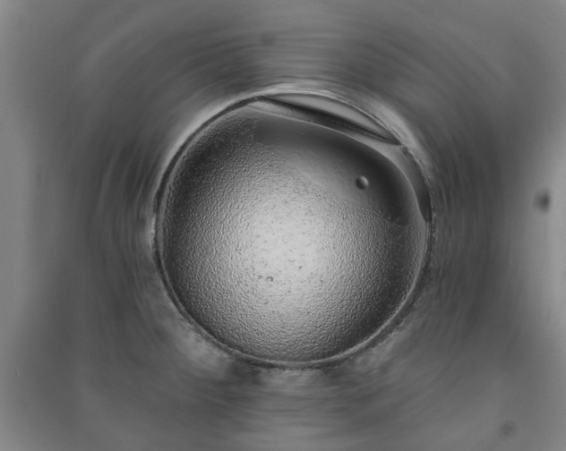 X0000091231284200708161709